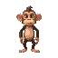 monkey