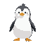 a cute penguin with white background 