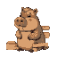 cute capybara in a sauna 