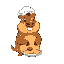 a cute chubby capybara cooking