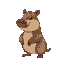 capybara 