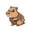 cute capybara 