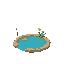 small pond