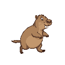 make a capybara walk cycle