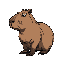 make a capybara