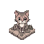 a cat