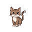 a cat