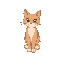 a cat