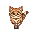 a cat