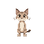 a cat