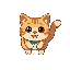 a cat