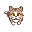a cat