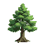 create a pinetree