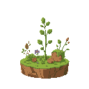  herb platform