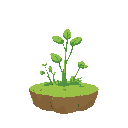  herb flat  2d platform