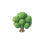a biger tree