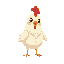 a little cute chicken 