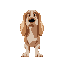 cute dog basset hound on colors light yellow and light pink
