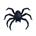 topdown dark spider 