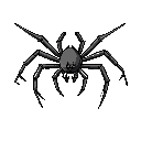 topdown spider 