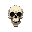 skull