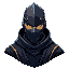 a cybernetic ninja