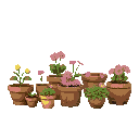 medieval  various flower pots  designed for a retro-style farm simulation game.