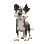 i want my dog to be cartoonish 