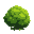 big green bush
