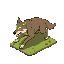wolf running