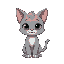 gray kitten