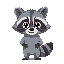 a cute raccoon