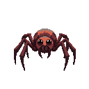 spider
