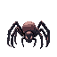 spider
