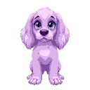 cute pastel purple cocker spaniel dog with blue eyes 