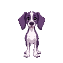 purple spaniel dog