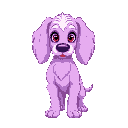 cute pastel purple cocker spaniel dog