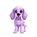 cute pastel purple cocker spaniel dog