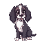 periwinkle  spaniel dog