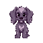 purplish grey spaniel dog