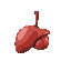 a complete liver model 