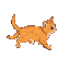 orange tabby cat walking smoothly to the right.