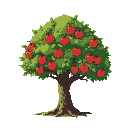 half-wide appletree
