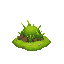 grass texture