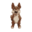 dog man