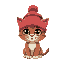 cat in a beanie