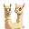 a peruvian alpaca looking to the left.