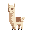 a peruvian alpaca looking to the left.
