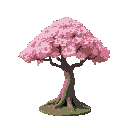 sakura tree 