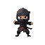 ninja